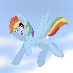 Size: 5000x5000 | Tagged: safe, artist:exvius, character:rainbow dash, species:pegasus, species:pony, blue background, cloud, female, flight, happy, looking at you, outstretched wings, simple background, solo