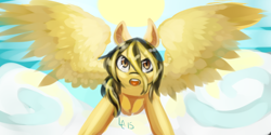 Size: 1000x500 | Tagged: safe, artist:lightningchaser13, artist:lightningchaserarts, oc, oc:lightning chaser, species:pegasus, species:pony, brown eyes, digital art, painting, wings
