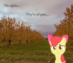 Size: 1733x1500 | Tagged: safe, artist:bryal, character:apple bloom, species:earth pony, species:pony, autumn, cloud, dark clouds, female, filly, irl, photo, ponies in real life, raincloud, sad, sad in hindsight, solo, tree