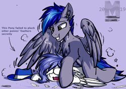 Size: 2200x1565 | Tagged: safe, artist:movieskywalker, oc, oc only, oc:open skies, oc:shinesky, species:pegasus, species:pony, clothing, cowboy hat, crying, female, hat, male, rule 63, simple background, smiley face, wings