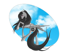 Size: 1600x1164 | Tagged: safe, artist:whitewing1, oc, oc:sparrow wings, species:pegasus, species:pony, female, mare, simple background, solo, transparent background
