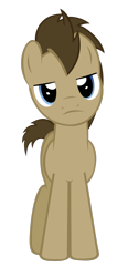 Size: 900x1941 | Tagged: safe, artist:richhap, character:doctor whooves, character:time turner, looking at you, male, simple background, solo, transparent background, unamused, vector