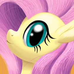 Size: 2000x2000 | Tagged: safe, artist:stellardust, derpibooru original, character:fluttershy, species:pegasus, species:pony, bust, female, high res, looking at you, mare, portrait, profile, simple background, smiling, solo