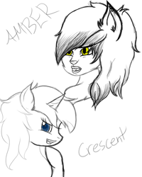 Size: 1024x1280 | Tagged: safe, artist:crescentpony, oc, oc only, oc:amber, oc:crescent moon, species:anthro, species:pony, species:unicorn, anthro with ponies, bear, bust, duo, female, horn, lineart, mare, panda, simple background, smiling, solo, text, unicorn oc, white background