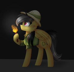 Size: 706x680 | Tagged: safe, artist:tater, character:daring do, species:pegasus, species:pony, cheek fluff, clothing, female, hat, hoof hold, pith helmet, solo, torch