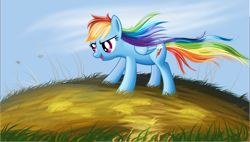 Size: 5277x3000 | Tagged: safe, artist:tgolyi, character:rainbow dash, absurd resolution, female, solo, windswept mane