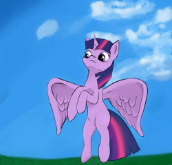 Size: 2952x2834 | Tagged: safe, artist:guatergau5, character:twilight sparkle, character:twilight sparkle (alicorn), species:alicorn, species:pony, cloud, flying, grass, sky
