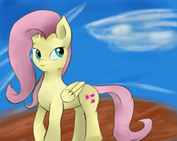 Size: 5905x4724 | Tagged: safe, artist:guatergau5, character:fluttershy, species:pegasus, species:pony