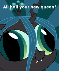 Size: 600x720 | Tagged: safe, artist:blanishna, character:queen chrysalis, species:changeling, caption, changeling queen, derp face, female, hey you, image macro, meme, solo, sunburst background, text