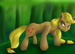 Size: 4677x3402 | Tagged: safe, artist:guatergau5, character:applejack, species:earth pony, species:pony, female, solo
