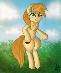 Size: 2500x3000 | Tagged: safe, artist:sorajona, oc, oc only, oc:sunny rain, species:earth pony, species:pony, chest fluff, cloud, cute, female, floating, fullbody, grass, leaves, mare, nature, shading, sky, smiling, solo