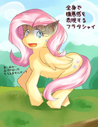 Size: 724x937 | Tagged: safe, artist:araiiara123, character:fluttershy, species:pony, female, japanese, solo