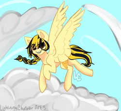 Size: 2500x2300 | Tagged: safe, artist:lightningchaser13, artist:lightningchaserarts, oc, oc:lightning chaser, species:pegasus, species:pony, braid, cloud, improve, redraw, sky, wings