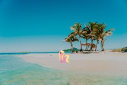 Size: 1920x1280 | Tagged: safe, artist:angello pro, artist:draikjack, character:lily, character:lily valley, species:earth pony, species:pony, beach, bedroom eyes, coast, female, flower, flower in hair, honduras, irl, island, lily (flower), mare, photo, ponies in real life, raised hoof, solo, wet mane
