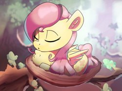 Size: 3458x2595 | Tagged: safe, artist:nookprint, character:fluttershy, species:bird, species:pegasus, species:pony, behaving like a bird, birb, chest fluff, cute, female, forest, mare, nest, shyabetes, sleeping, solo, tree, tree branch