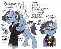 Size: 1700x1386 | Tagged: safe, artist:dark lightning, oc, oc only, oc:platinum preach, species:pegasus, species:pony, clothing, cyrillic, priest, reference sheet, russian, simple background, sketch, solo, vampire, white background