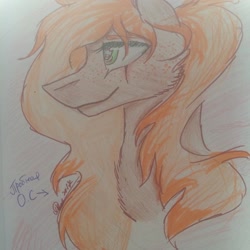 Size: 1080x1080 | Tagged: safe, artist:olyaandspid, oc, oc only, species:earth pony, species:pony, 2010s, 2019, earth pony oc, signature, smiling, solo, traditional art