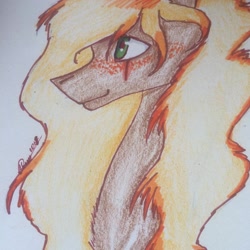 Size: 1080x1080 | Tagged: safe, alternate version, artist:olyaandspid, oc, oc only, species:earth pony, species:pony, 2010s, 2019, earth pony oc, signature, smiling, solo, traditional art