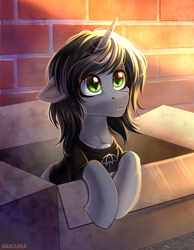Size: 2300x2968 | Tagged: safe, artist:hakaina, species:pony, species:unicorn, g4, box, brick, cardboard box, clothing, commission, disguise, disguised siren, fangs, floppy ears, frown, horn, jewelry, kellin quinn, looking at you, male, necklace, ponified, shirt, signature, sleeping with sirens, slit eyes, solo, stallion, t-shirt, ych result