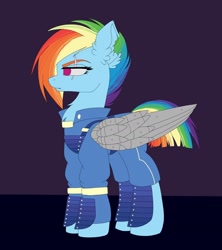 Size: 1672x1880 | Tagged: safe, artist:pearl123_art, character:rainbow dash, species:pegasus, species:pony, g4, alternate timeline, amputee, apocalypse dash, artificial wings, augmented, biohacking, chest fluff, clothing, crystal war timeline, ear fluff, eye scar, female, mare, prosthetic limb, prosthetic wing, prosthetics, scar, solo, torn ear, wings