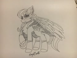 Size: 2048x1536 | Tagged: safe, artist:pearl123_art, oc, oc only, species:pegasus, species:pony, g4, chest fluff, ear fluff, lineart, pegasus oc, raised hoof, signature, solo, traditional art, wings