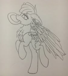 Size: 1842x2048 | Tagged: safe, artist:pearl123_art, oc, oc only, species:pegasus, species:pony, g4, chest fluff, ear fluff, frisbee, lineart, mouth hold, pegasus oc, rearing, solo, traditional art, wings