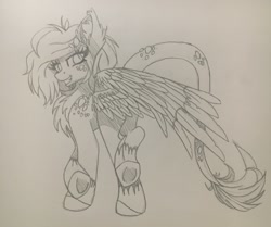 Size: 2048x1710 | Tagged: safe, artist:pearl123_art, oc, oc only, species:pegasus, species:pony, g4, chest fluff, ear fluff, leonine tail, lineart, pegasus oc, raised hoof, smiling, solo, traditional art, underhoof, wings