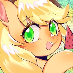 Size: 1754x1754 | Tagged: safe, artist:royal, part of a set, character:applejack, species:earth pony, species:pony, g4, blushing, bust, colored pupils, cute, female, food, jackabetes, looking at you, mare, open mouth, portrait, solo, summer, watermelon