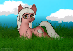 Size: 3096x2160 | Tagged: safe, artist:darbedarmoc, oc, oc:patty, species:earth pony, species:pony, g4, art trade, chest fluff, cloud, ear fluff, grass, looking at you, sky, solo