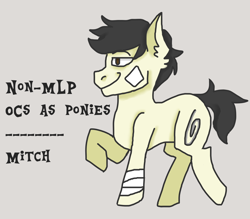 Size: 1600x1400 | Tagged: safe, artist:theedgyduck, oc, oc only, oc:mitch swallow, species:earth pony, species:pony, g4, bandage, bandaid, simple background