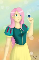 Size: 721x1108 | Tagged: safe, artist:verygood91, character:fluttershy, species:bird, clothing, crossover, disney, disney princess, dress, female, humanized, snow white, solo