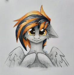 Size: 2757x2788 | Tagged: safe, artist:dark lightning, oc, oc only, oc:mayday, species:pegasus, species:pony, g4, commission, confused, looking at you, photo, solo, traditional art