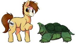 Size: 844x475 | Tagged: safe, artist:plaguetyranno, artist:silent-e, oc, oc:bug-zapper, species:earth pony, species:pony, g4, male, snapping turtle, stallion, story in the source, turtle