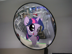 Size: 1024x768 | Tagged: safe, artist:bryal, character:twilight sparkle, species:pony, big head, irl, mirror, photo, ponies in real life, silly