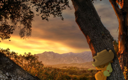 Size: 1920x1200 | Tagged: safe, artist:bryal, character:applejack, species:pony, flower, irl, mountain, photo, ponies in real life, relaxing, resting, sky, sleeping, solo, sunset, vector