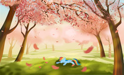 Size: 4929x2998 | Tagged: safe, artist:tgolyi, character:rainbow dash, cherry blossoms, flower, flower blossom, orchard, sleeping, solo, wallpaper