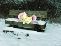 Size: 2560x1920 | Tagged: safe, artist:colorfulbrony, character:fluttershy, bench, irl, photo, ponies in real life, snow