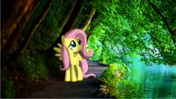 Size: 1280x720 | Tagged: safe, artist:colorfulbrony, character:fluttershy, path, ponies in real life, river, shadow, stream, tree
