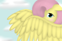 Size: 1024x674 | Tagged: dead source, safe, artist:glittersonyourface, character:fluttershy, species:pegasus, species:pony, blushing, cloud, covering, female, mare, sky, solo, wing covering