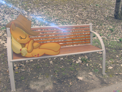 Size: 2560x1920 | Tagged: safe, artist:colorfulbrony, character:applejack, bench, irl, photo, ponies in real life, sleeping