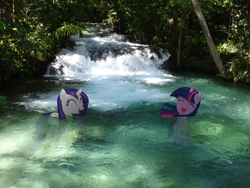 Size: 1600x1200 | Tagged: safe, artist:bryal, character:rarity, character:twilight sparkle, irl, photo, ponies in real life, river, stream, swimming, wet, wet mane, wet mane rarity