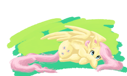 Size: 1500x900 | Tagged: safe, artist:nos-talgia, character:fluttershy, covering, cute, female, looking at you, prone, shy, simple background, solo, transparent background