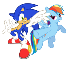 Size: 6900x6000 | Tagged: safe, artist:geonine, character:rainbow dash, character:sonic the hedgehog, absurd resolution, crossover, request, simple background, sonic the hedgehog (series), transparent background, vector