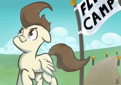 Size: 4000x2800 | Tagged: safe, artist:senselesssquirrel, character:pound cake, male, older, slice of pony life, solo
