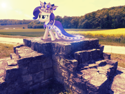 Size: 2560x1920 | Tagged: safe, artist:colorfulbrony, character:rarity, clothing, crown, irl, photo, ponies in real life, princess platinum, robe, royalty, solo, vector