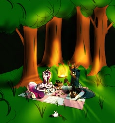 Size: 1177x1255 | Tagged: safe, artist:spacehunt, character:princess cadance, character:queen chrysalis, species:changeling, species:rabbit, ship:cadalis, female, fire, friendship, lesbian, night, picnic, shipping, stories, wood