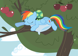 Size: 2738x1966 | Tagged: safe, artist:tgolyi, character:rainbow dash, character:tank, apple, apple tree, food, pillow, sleeping, svg, tree, vector