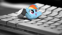 Size: 1600x900 | Tagged: safe, artist:klaifferon, character:rainbow dash, species:pegasus, species:pony, arms in the air, artifact, cute, dashabetes, female, happy, hiding, i hid in your keyboard, i love you, irl, keyboard, looking up, love, mare, micro, open mouth, photo, picture, ponies in real life, smiling, solo, wallpaper