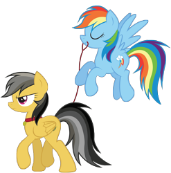 Size: 5972x6045 | Tagged: safe, artist:zoevulpez, character:daring do, character:rainbow dash, species:pegasus, species:pony, ship:daringdash, absurd resolution, annoyed, backwards cutie mark, collar, eyes closed, female, flying, leash, lesbian, mare, missing accessory, mouth hold, nudity, pet play, pet tag, shipping, simple background, transparent background