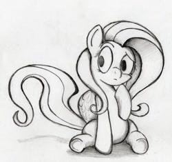 Size: 923x866 | Tagged: safe, artist:otto720, character:fluttershy, female, monochrome, solo